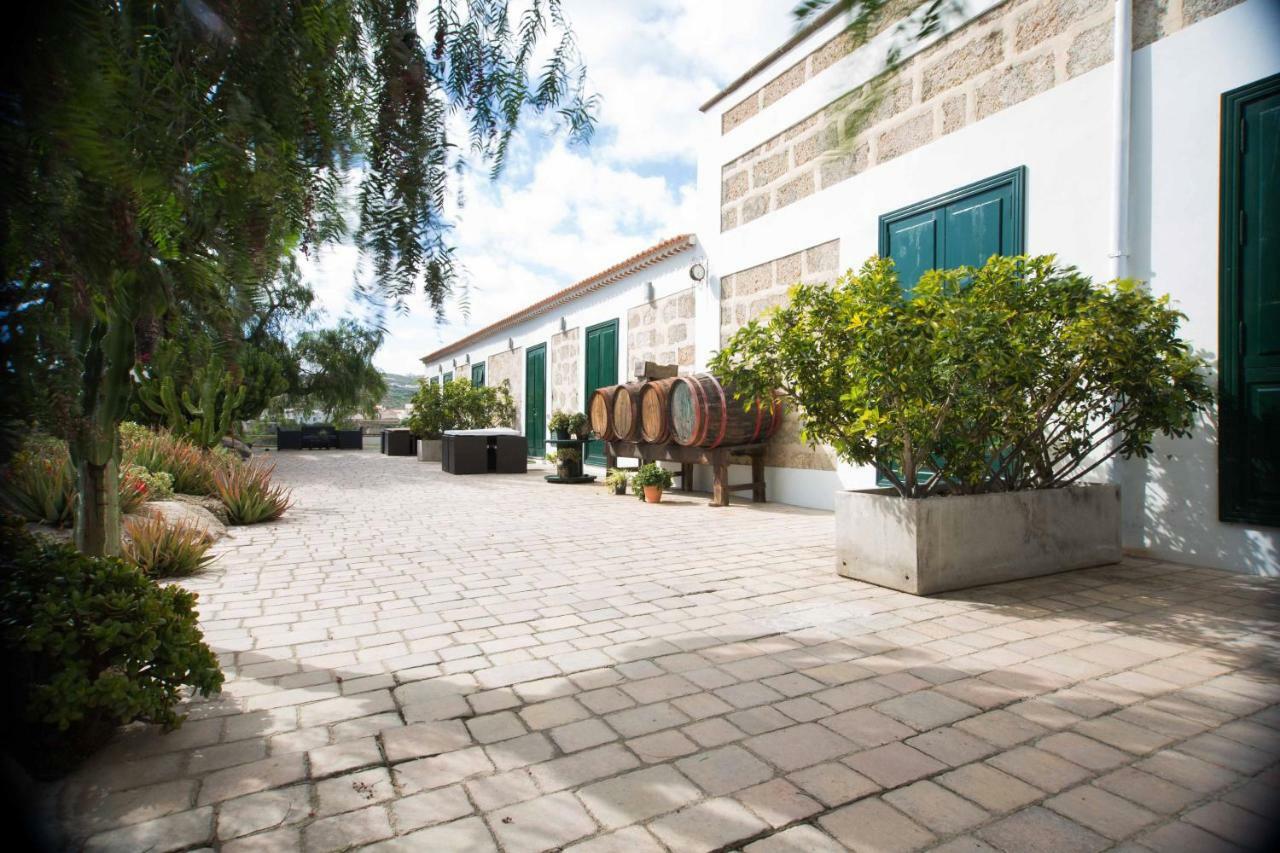 La Malvasia Arico Viejo Eksteriør billede