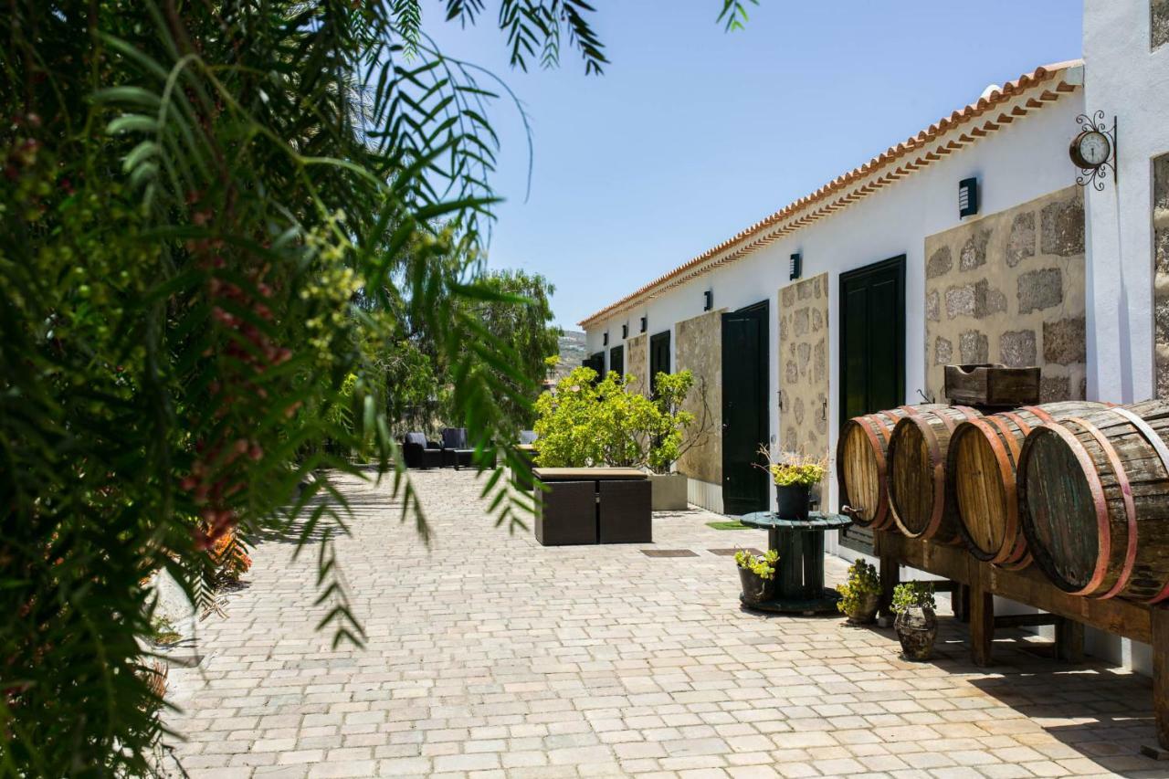 La Malvasia Arico Viejo Eksteriør billede
